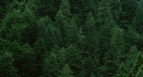 1644821342203830.png image.png