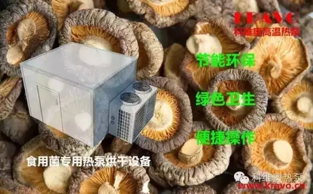 熱泵干燥技術在食用菌.jpg