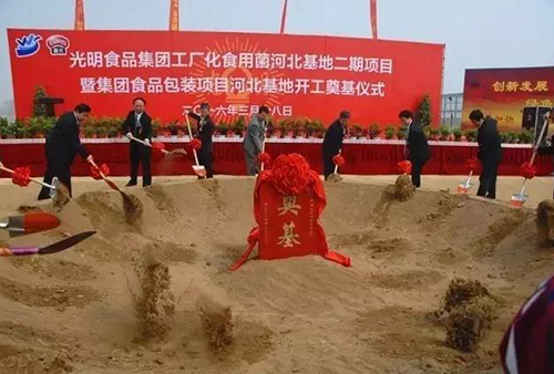 1459242653796833.jpg 0_145921395541800.jpg